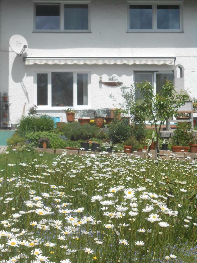Ferienwohnung Casa Mia シュピーゲラウ エクステリア 写真